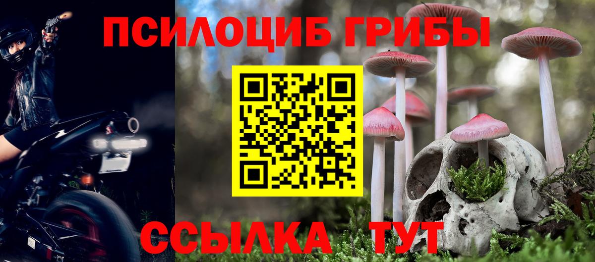 Чита  Псилоцибиновые грибы Psilocybine cubensis  Вход с VPN  Галлюциногенные грибы Cubensis 