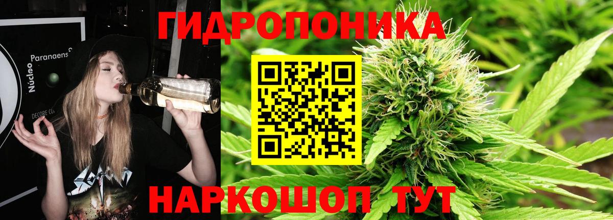 Бошки Шишки VHQ Чита